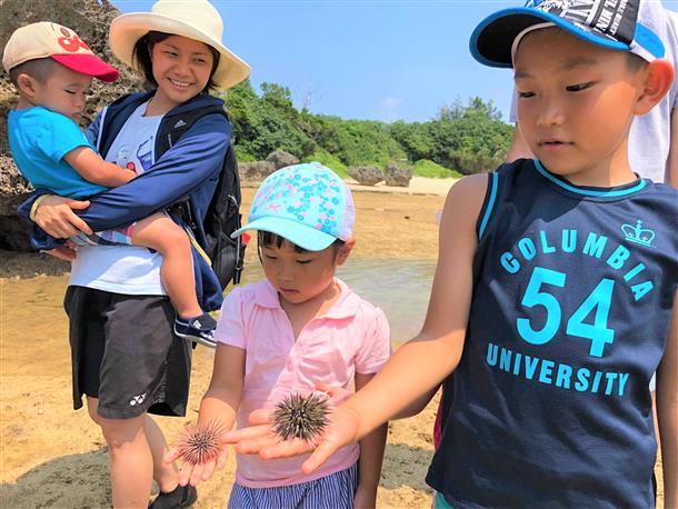 初めてウニを触った！痛いかなぁ？