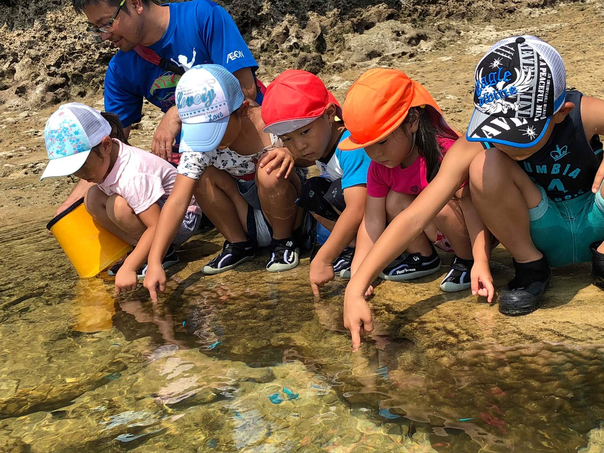 目の前にきれいな熱帯魚が！