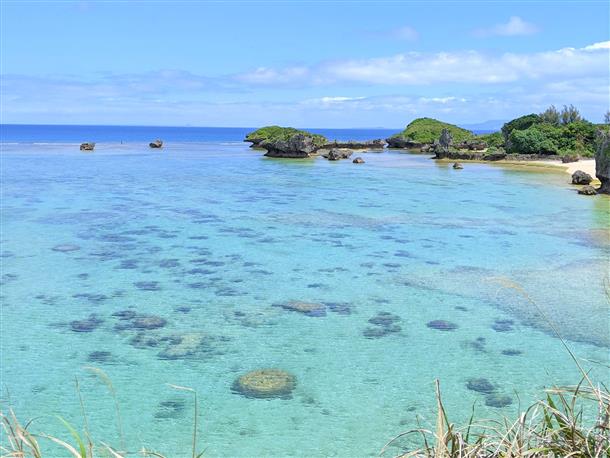 このきれいな海を歩いて観察します！