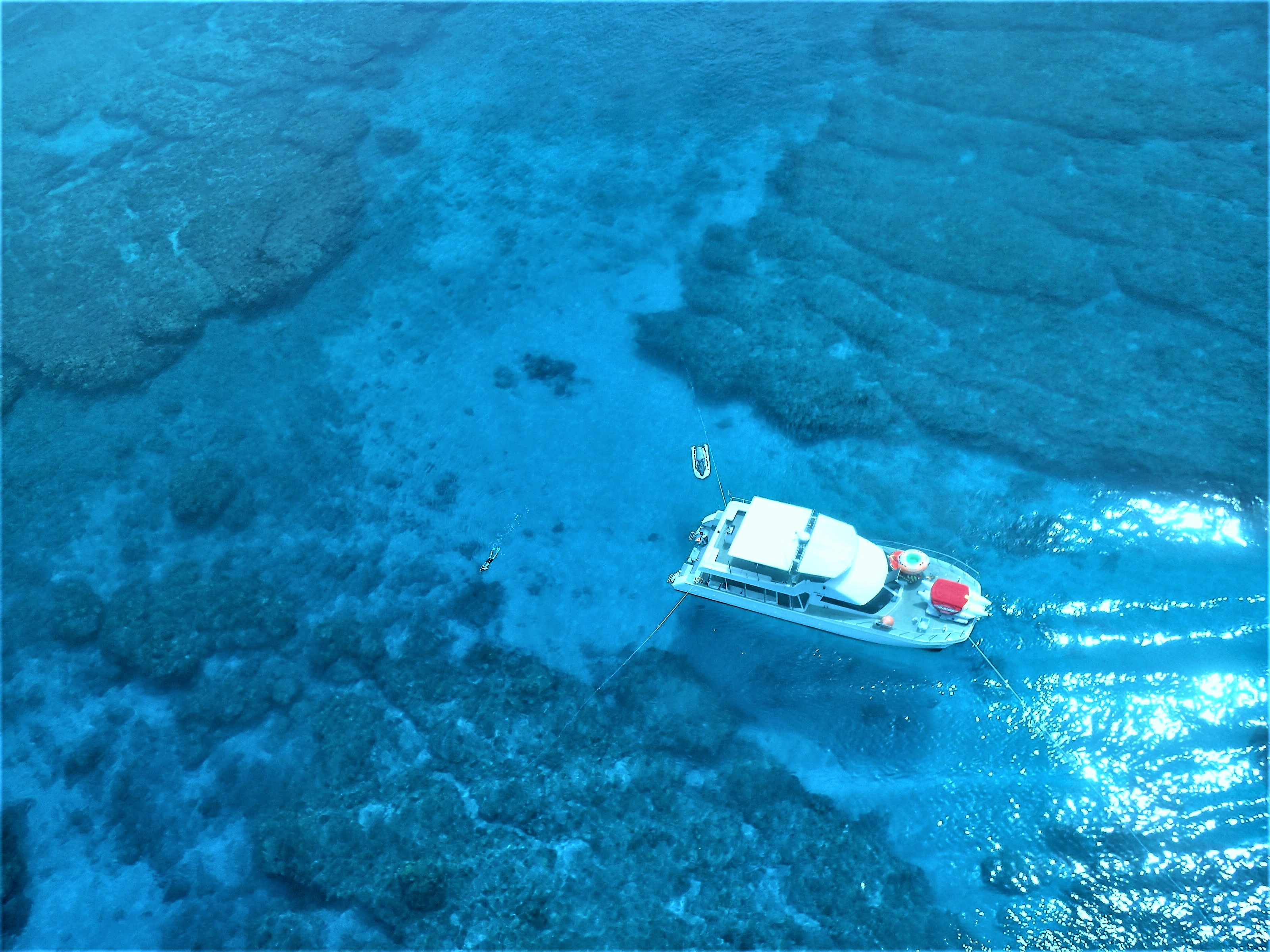 慶良間の海をお楽しみください