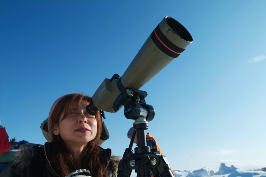 望遠鏡や双眼鏡を使い、じっくりとワシ観察