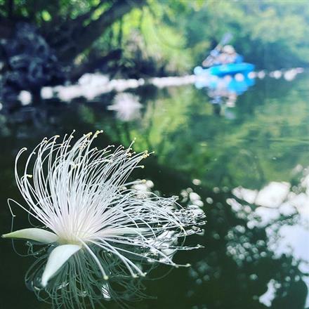沖縄の遊び・アクティビティを検索