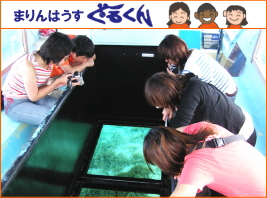 沖縄の遊び・アクティビティを検索