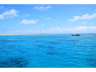 とかしき（クエフ島）