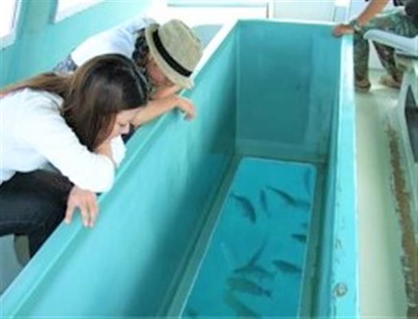 沖縄の遊び・アクティビティを検索