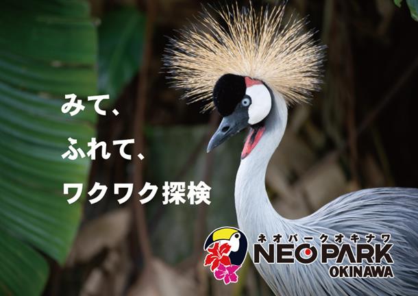 沖縄の遊び・アクティビティを検索