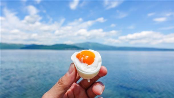 北海道のアクティビティプラン一覧