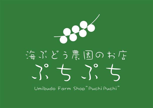 沖縄の遊び・アクティビティを検索