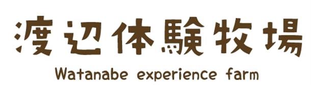 北海道の遊び
