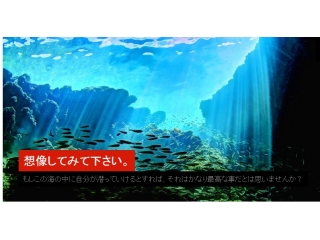 イエローサブマリンダイブスタジオ