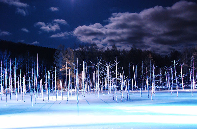 北海道の遊び