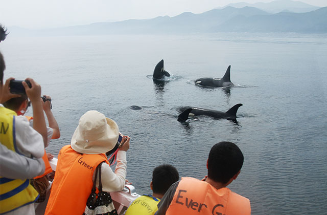 北海道の遊び
