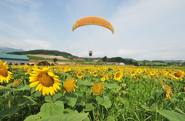 北海道の遊び