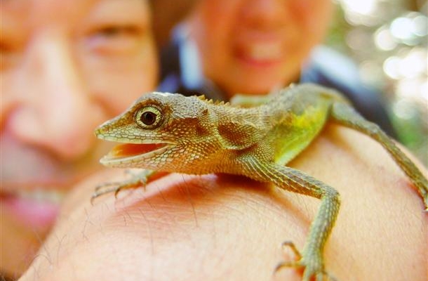 沖縄の遊び・アクティビティを検索