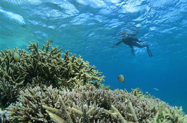 Search for Fun & Activities in Okinawa