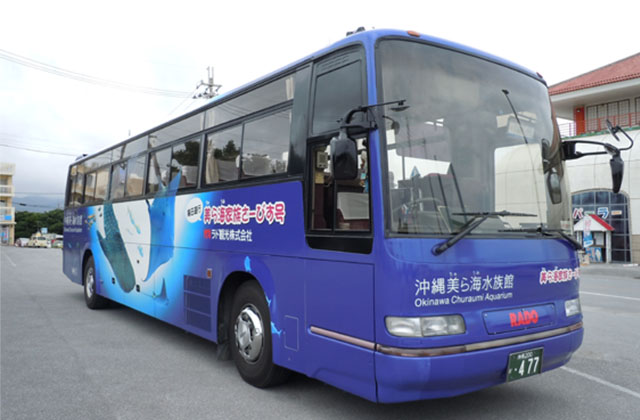 Search for Activities & Things to Do in Okinawa