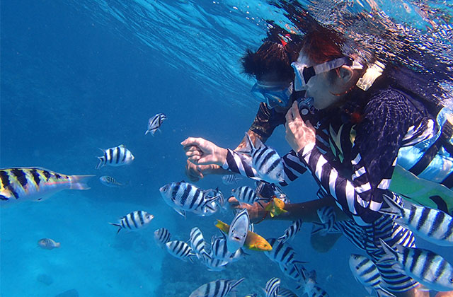 Search for Activities & Things to Do in Okinawa