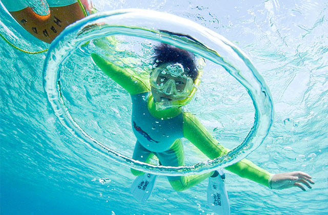 Search for Activities & Things to Do in Okinawa