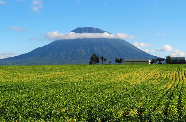 北海道のアクティビティプラン一覧