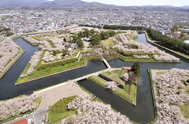 北海道のアクティビティプラン一覧