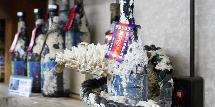 海底酒