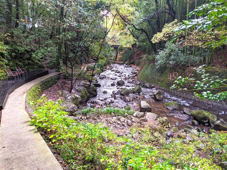 湯河原観光のおすすめ10選！温泉にグルメ、自然散策まで人気スポットを厳選