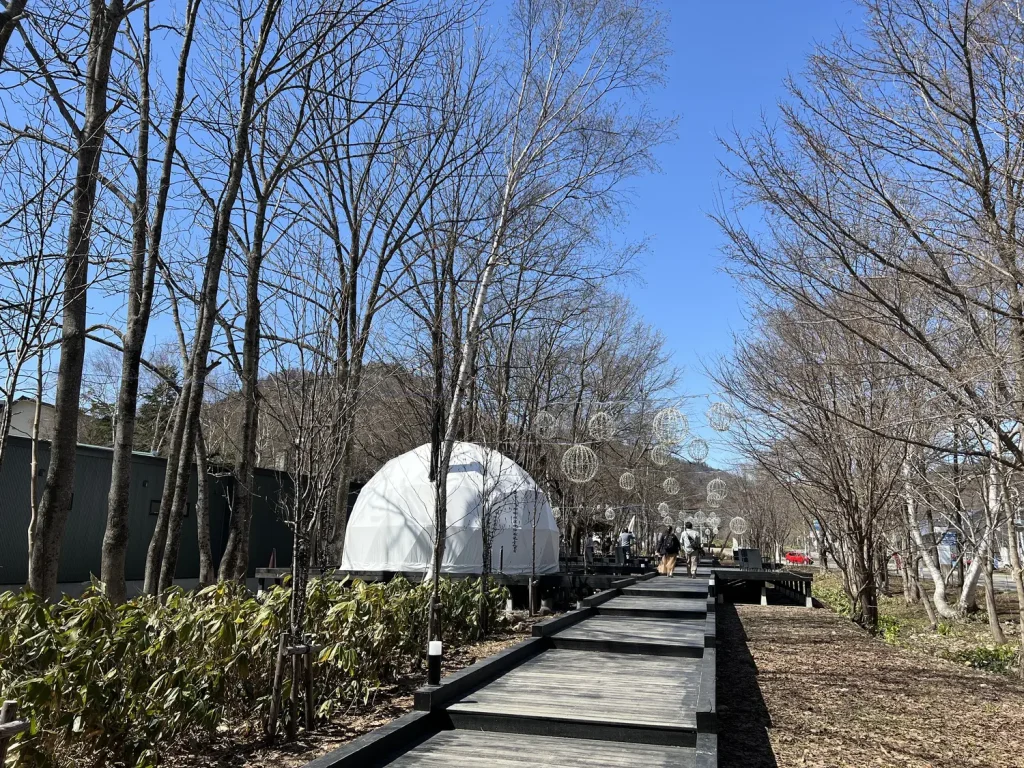 天気の良い日に散歩したくなる木道