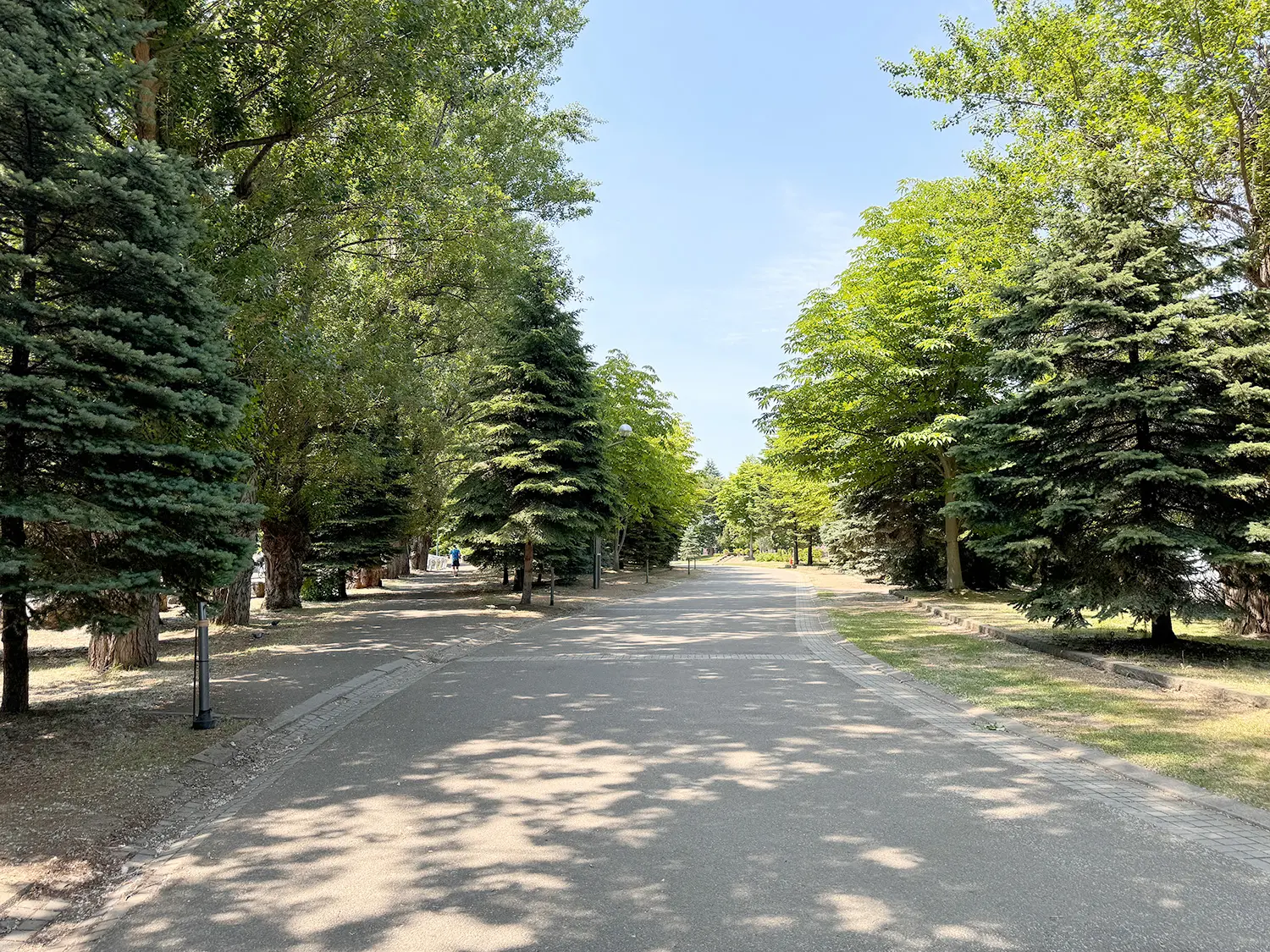 札幌観光でのんびり散策。豊平館や日本庭園など見どころも多い「中島公園」